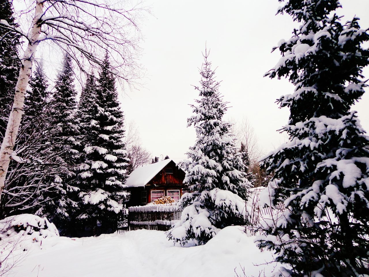 snow, winter, cold temperature, tree, season, building exterior, architecture, built structure, clear sky, weather, covering, house, nature, growth, branch, low angle view, bare tree, beauty in nature, white color, tranquility