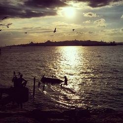 Birds flying over sea