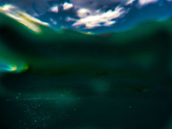 Close-up of jellyfish swimming in sea
