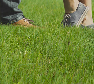 Low section of people on grass