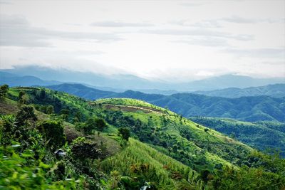 Scenic view of valley and mountains against sky