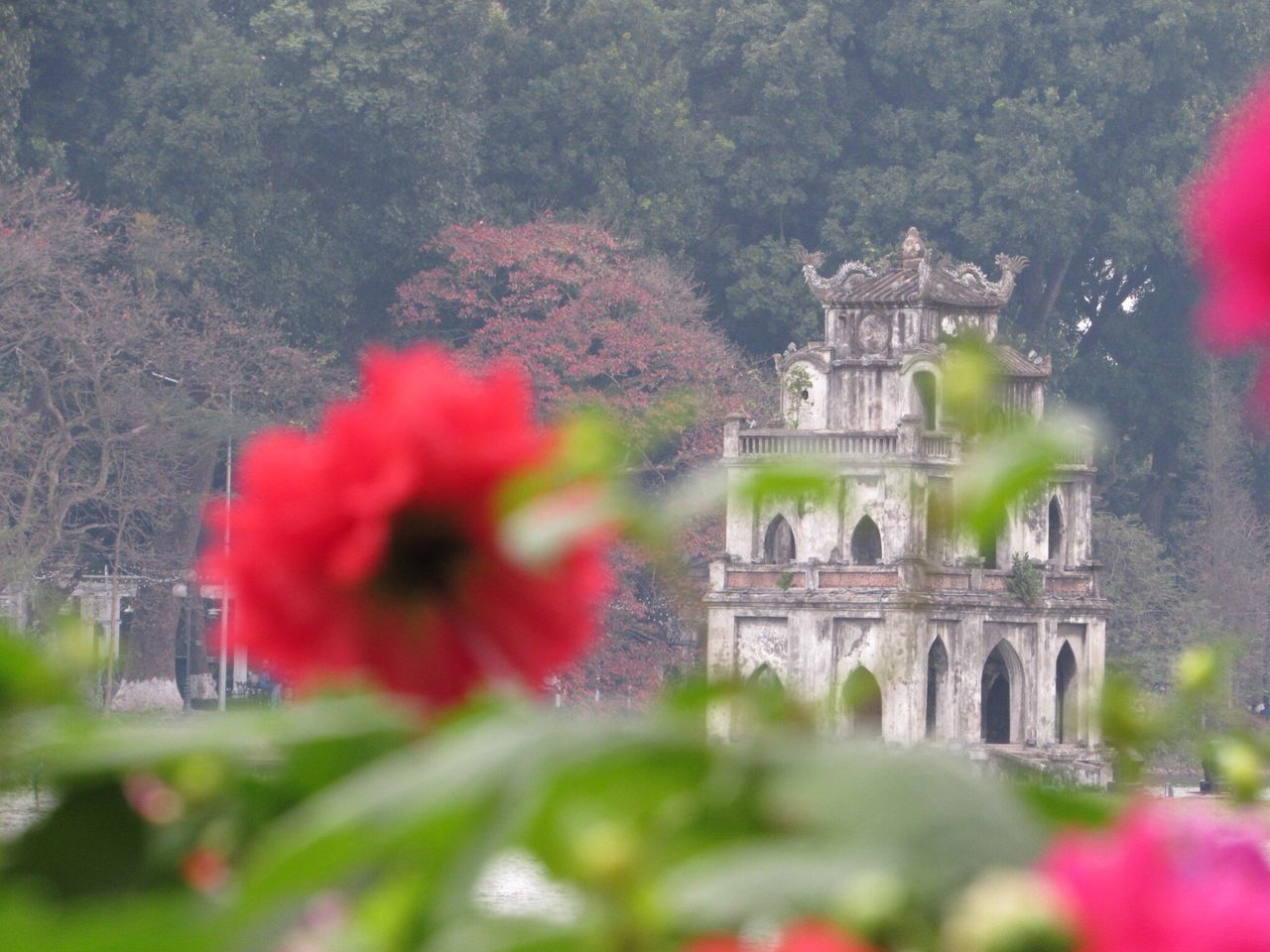 architecture, built structure, building exterior, tree, water, flower, growth, incidental people, city, outdoors, red, nature, park - man made space, formal garden, travel destinations, travel, plant, day, pond