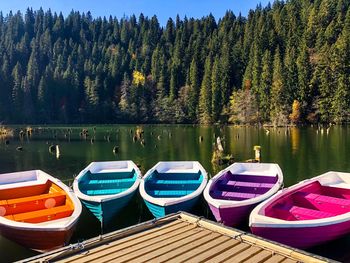 Colorful wooden boats with paddles on a lake surrounded by forest on a day with clear blue sky