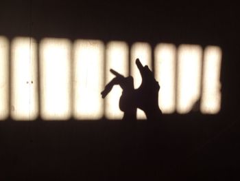 Silhouette person shadow on window