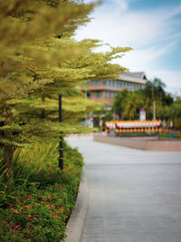 Footpath amidst trees and buildings against sky