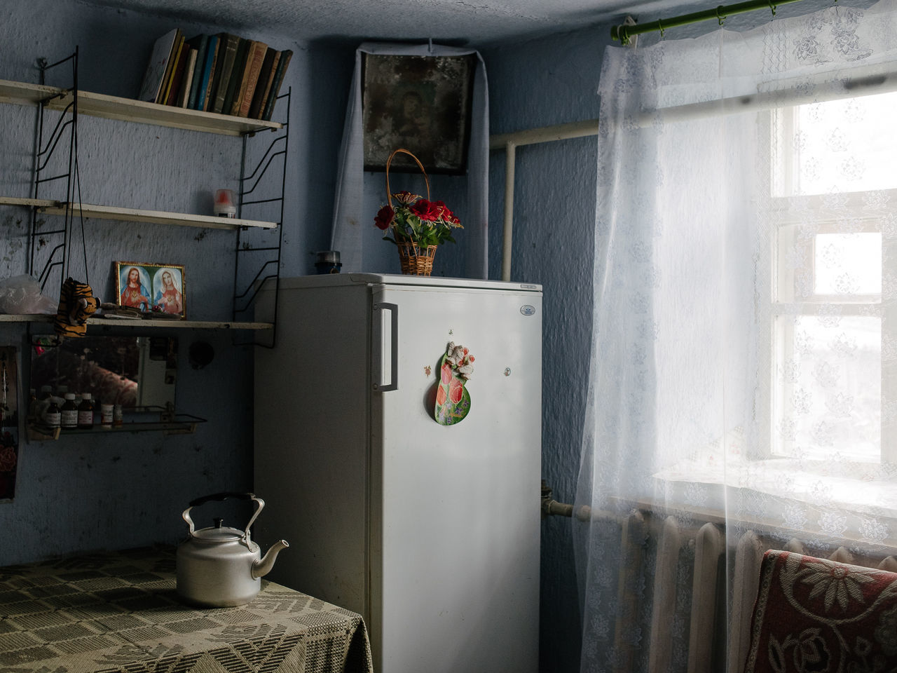 indoors, domestic room, no people, shelf, home, home interior, window, day, nature, potted plant, household equipment, plant, house, architecture, kitchen, domestic kitchen, flower, curtain, door, flower pot