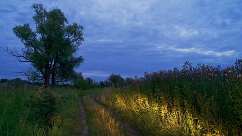 Scenic view of field against cloudy sky