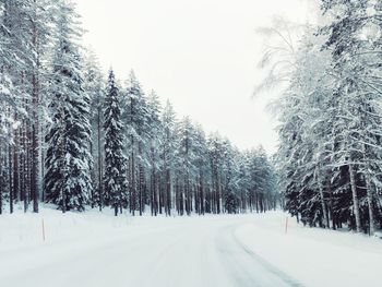 Snow covered road amidst trees against sky during winter