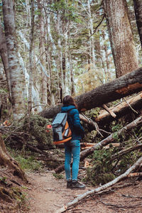Rear view of man working in forest