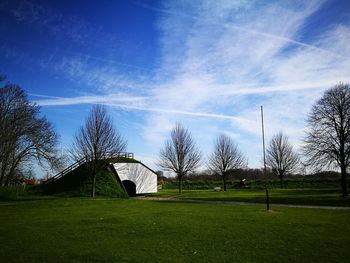 Low angle view of grass against sky