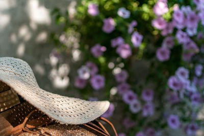 Low section of shoes on pink flower