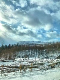 Scenic view of snowcapped field against sky