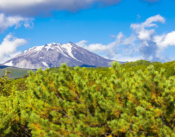 The view of the volcano vilyuchinsky, kamchatka, russia