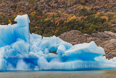 A bizarrely shaped iceberg in front of autumnal trees on grey glacier, chile, patagonia