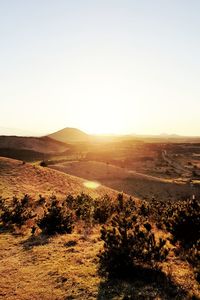 Scenic view of landscape against clear sky