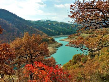 Scenic view of trees on mountain during autumn