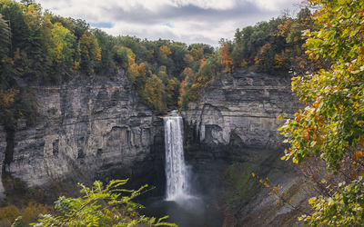 Scenic view of waterfall in forest