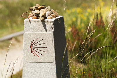 Way of st james to compostela , scallop shell signal for pilgrims