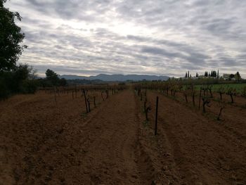 Scenic view of landscape against sky