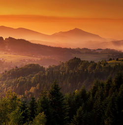 High angle view of trees against sky during sunset