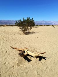 High angle view of wooden log lying down on sand against clear sky