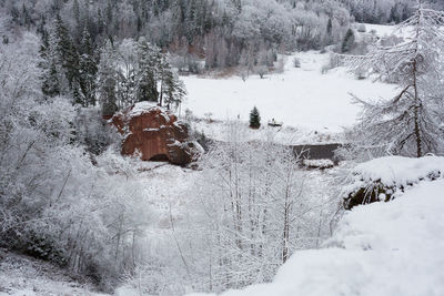 Snow covered land and trees on field