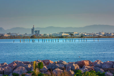 Tunisian landscape