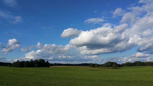 Scenic view of field against sky