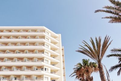 Low angle view of palm trees against clear sky