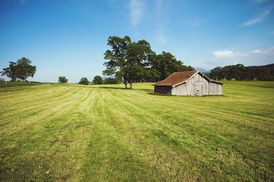 House on field by trees against sky