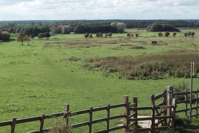 Sheep grazing on field against sky