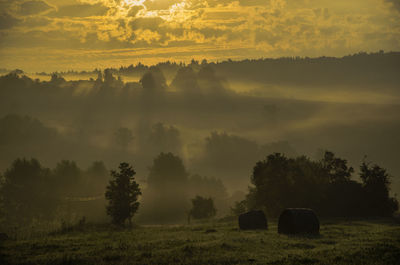 Scenic view of rural landscape at sunset