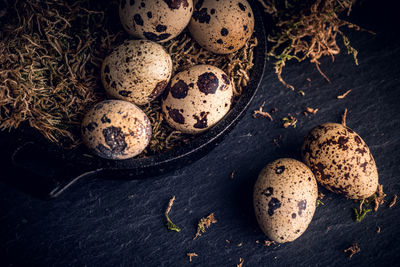 High angle view of eggs