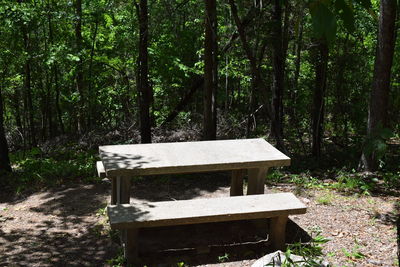 Empty bench in park