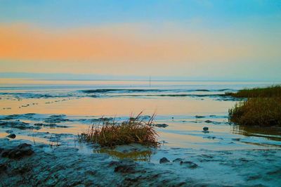 Scenic view of sea at sunset
