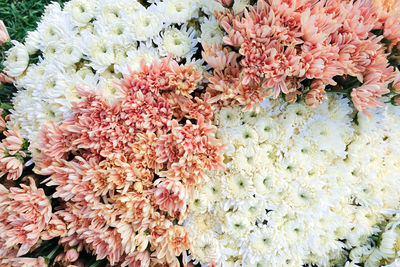 High angle view of flowering plants at market