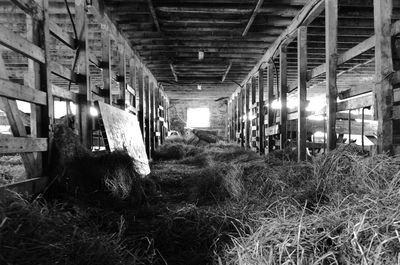 Interior of abandoned factory