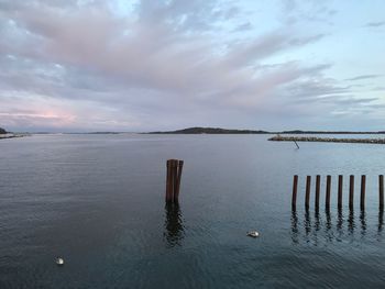 Wooden posts in sea against sky