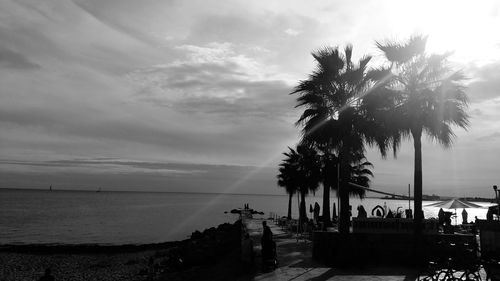 Palm trees on beach against sky