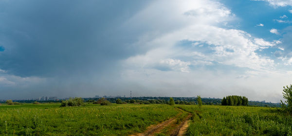 Scenic view of agricultural field against sky