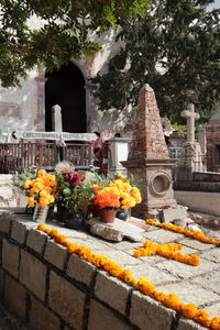 View of buddha statue in front of temple