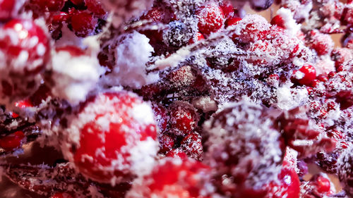 Close-up of frozen berries