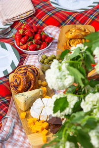 Outdoor picnic in nature with a red checkered bedspread and a beautiful basket of food