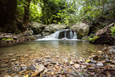 Scenic view of waterfall in forest