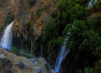 Scenic view of waterfall in forest