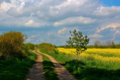 Dirt road amidst field against sky