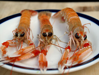 seafood
