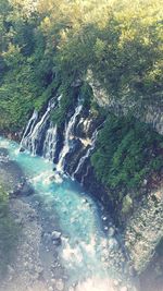 Scenic view of waterfall in forest