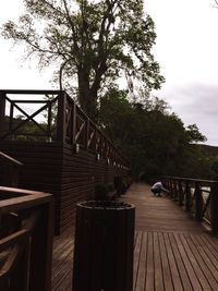 Narrow footbridge along trees