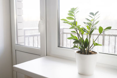 window